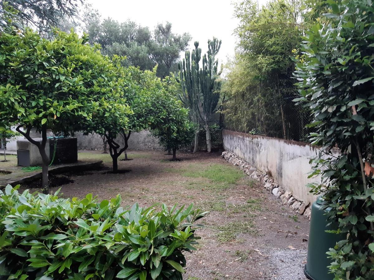Villa Livia 韦兰迈尔 外观 照片