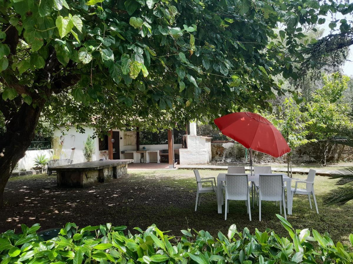 Villa Livia 韦兰迈尔 外观 照片